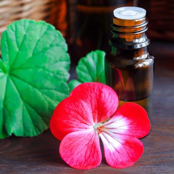 Αιθέριο Έλαιο Γεράνι