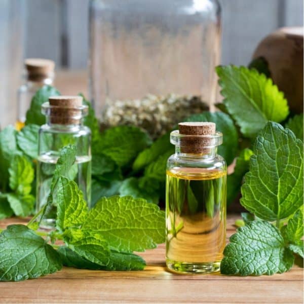 Αιθέριο Έλαιο Μελισσόχορτο