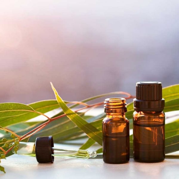 Αιθέριο Έλαιο Ευκάλυπτος