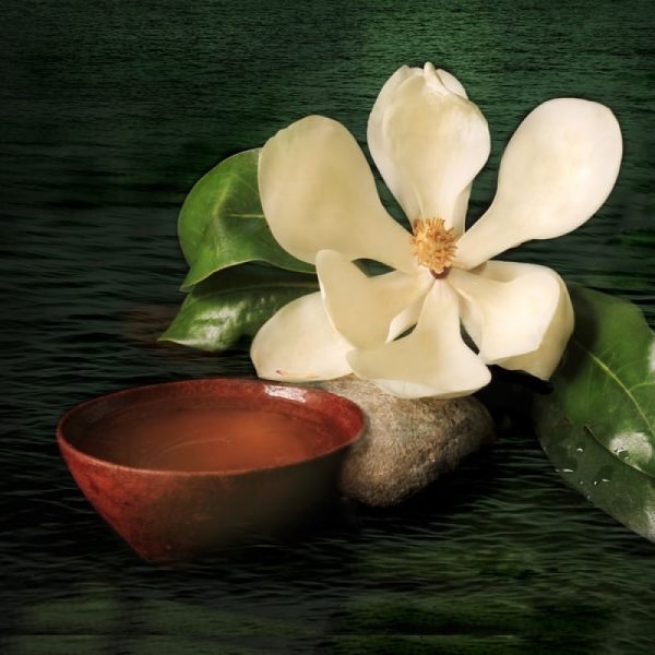 Αιθέριο Έλαιο Μανόλια