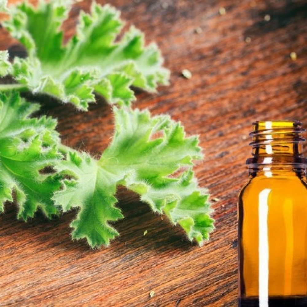 Αιθέριο Έλαιο Σιτρονέλλα