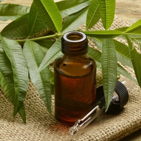 Αιθέριο Έλαιο Τεϊόδεντρο